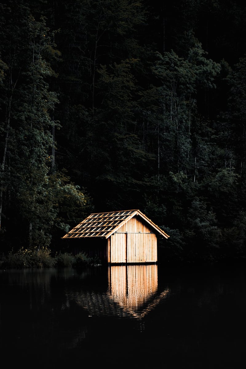 Cozy Cabin in the Forest